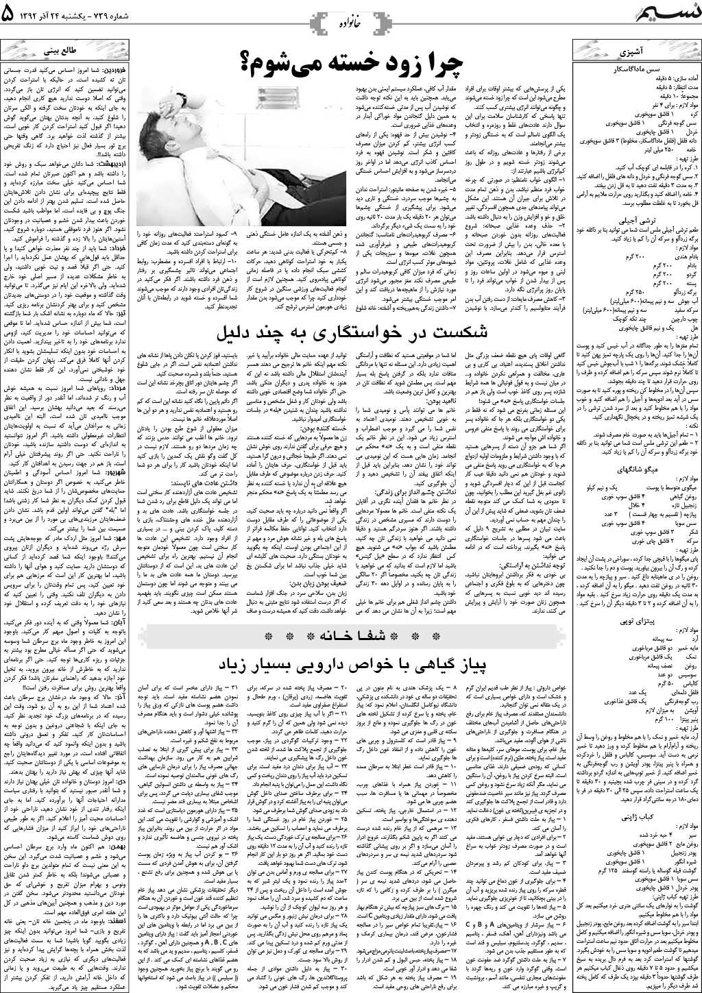 صفحه خانواده روزنامه نسیم شماره 739